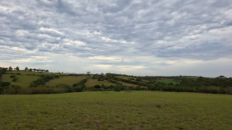 8 Bedroom Property for Sale in Meisies Halt Eastern Cape